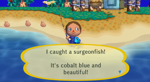 Caught Surgeonfish CF.png