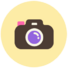 ProjectImages.png
