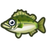 Sea bass