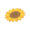 Sunflower Rug NH Icon.png