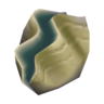 white scallop