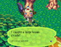 Caught Brown Cicada PG.png