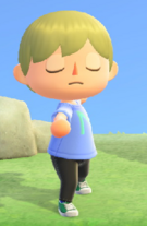 NH Player Yoga.png