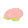 peach rug