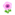 Pink Windflowers NH Inv Icon.png