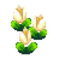 White Tulip PG Upscaled.png