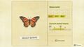 NH Critterpedia Monarch Butterfly Northern Hemisphere.jpg
