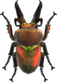 Rainbow Stag NH.png