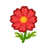 red cosmos