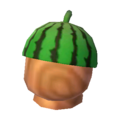 Watermelon Hat NL Model.png