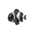 Black Clown Fish PC Icon.png
