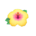 Hibiscus hairpin's Yellow variant
