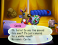 PG Carrie Camping.png