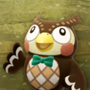 Texture of Blathers's photo