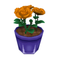 Orange Roses CF Model.png