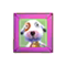 Bones - Animal Crossing Wiki - Nookipedia