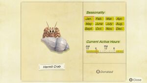 NH Critterpedia Hermit Crab.jpg