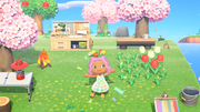 NH Press Sep 2019 Cherry Blossoms.png
