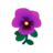 Purple Pansies PC Icon.png