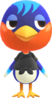 Robin NH.png
