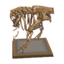 T-rex torso