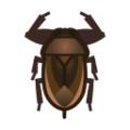 Giant Water Bug NH Icon.png