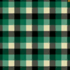 The Green plaid pattern for the clothesline.