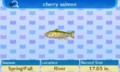 NL Encyclopedia Cherry Salmon.png