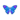 Blue Jungle Butterfly PC Icon.png