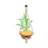 coconut wall planter