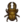 Miyama Stag NL Icon.png