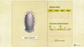 NH Critterpedia Giant Isopod Southern Hemisphere.jpg
