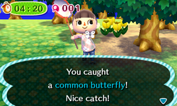 NL Easy Bug-Catching Tour Catch.png