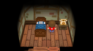 CF Attic.png