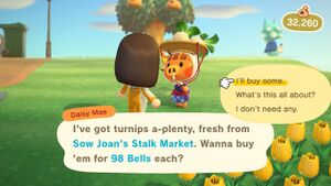 NH Stalk Market Buying Turnips.jpg