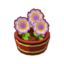 Potted Purple Rosettes PC Icon.png