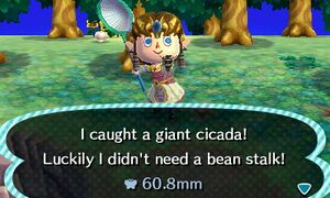 Caught Giant Cicada NL.jpg