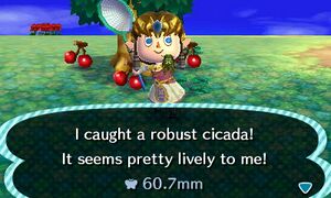 Caught Robust Cicada NL.jpg