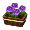 Purple Roses NL Model.png