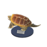 snapping turtle model