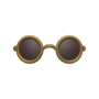 Tiny Shades (Gold) NH Icon.png