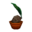 Coconut Palm PG Model.png