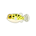 Green Spotted Puffer PC Icon.png