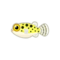 Green Spotted Puffer PC Icon.png