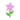Pink Starflowers PC Icon.png