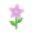 Pink Starflowers PC Icon.png