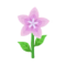 Pink Starflowers PC Icon.png
