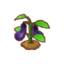 Potted Farmer's Eggplants PC Icon.png