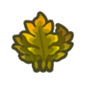seaweed