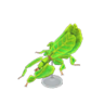 walking leaf model